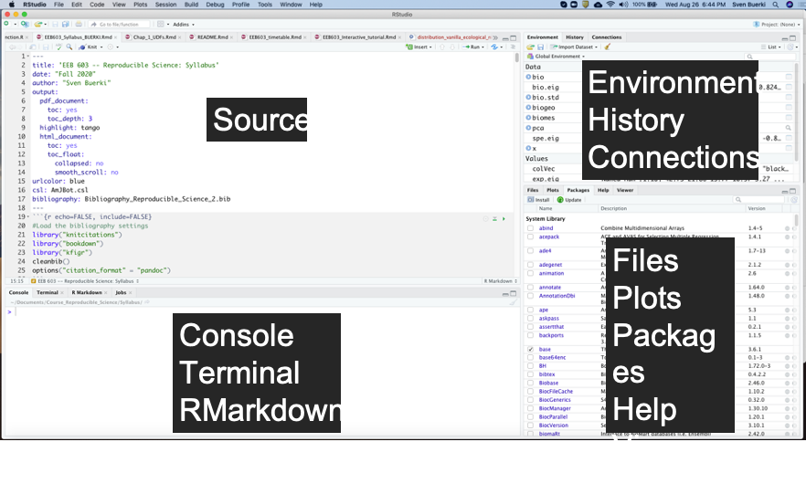 Snapshot of the RStudio environment showing the four windows and their content.