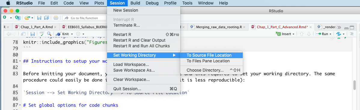 Snapshot of RStudio showing procedure to set your working directory to allow testing your code prior to knitting.