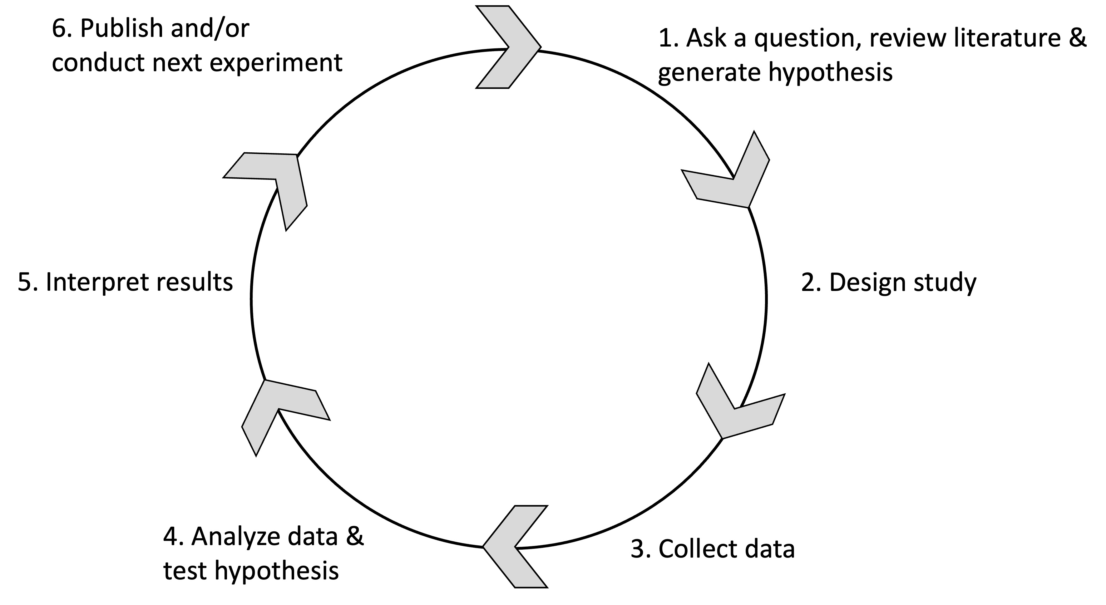 Overview of the scientific process.