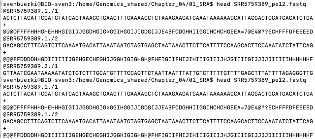 Screenshot of SRR5759389_pe12.fastq showing the formatting of reads.