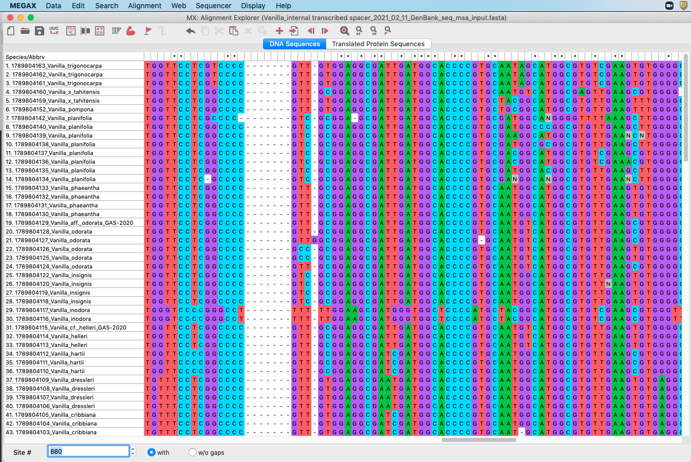 Screenshot showing MUSCLE alignment in MEGA.