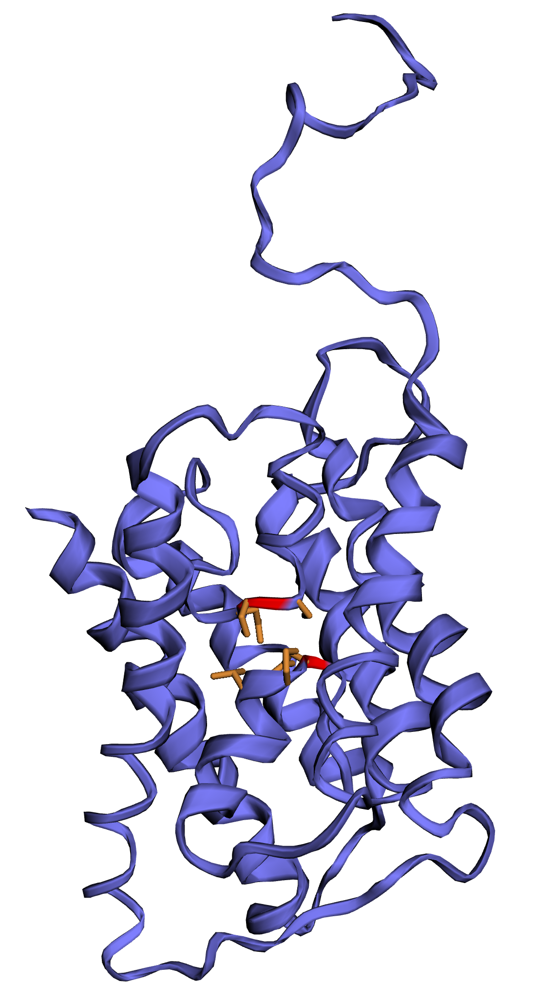 Example of a 3D model of an Aquaporin protein recovered in the sagebrush genome. NPA motifs are shown by red/orange colors