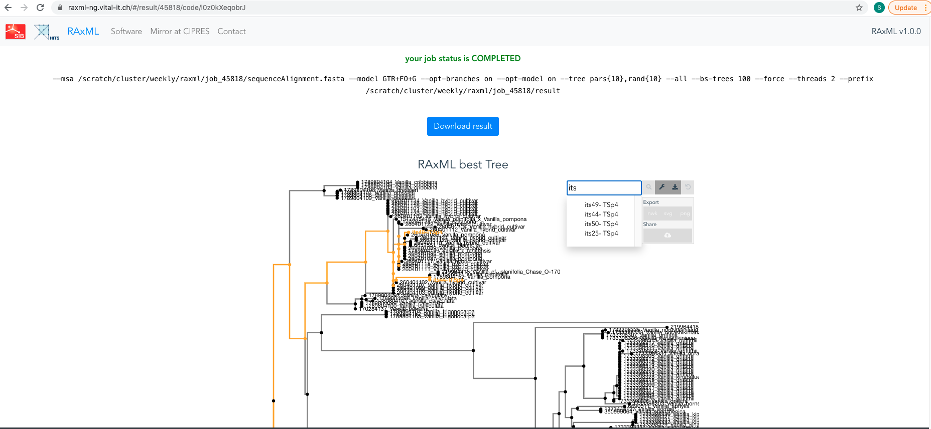Screenshot of RAxML portal showing results of your analysis. The best ML phylogenetic tree is also displayed.