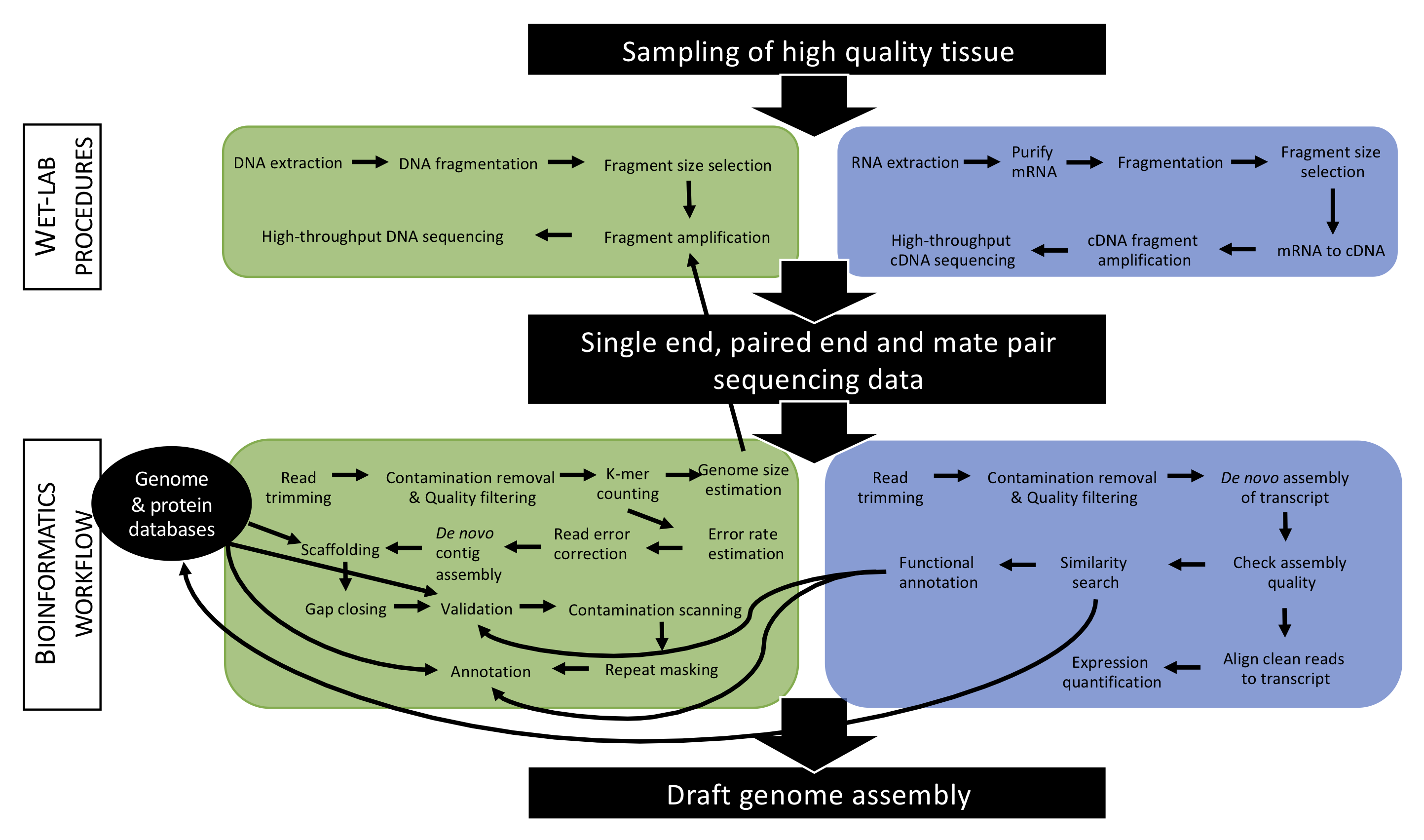 Overview of an example of an approach applied to produce a draft genome assembly. In this course, students will become accustomed with such approach and master some specific key steps.