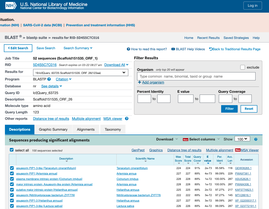Output of the protein BLAST analysis. Use the dropdown button to select each ORF and identify their gene products.