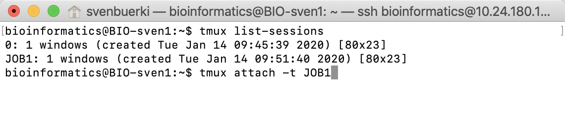 Screenshot of Terminal showing tmux command to access a specific session, here JOB1.
