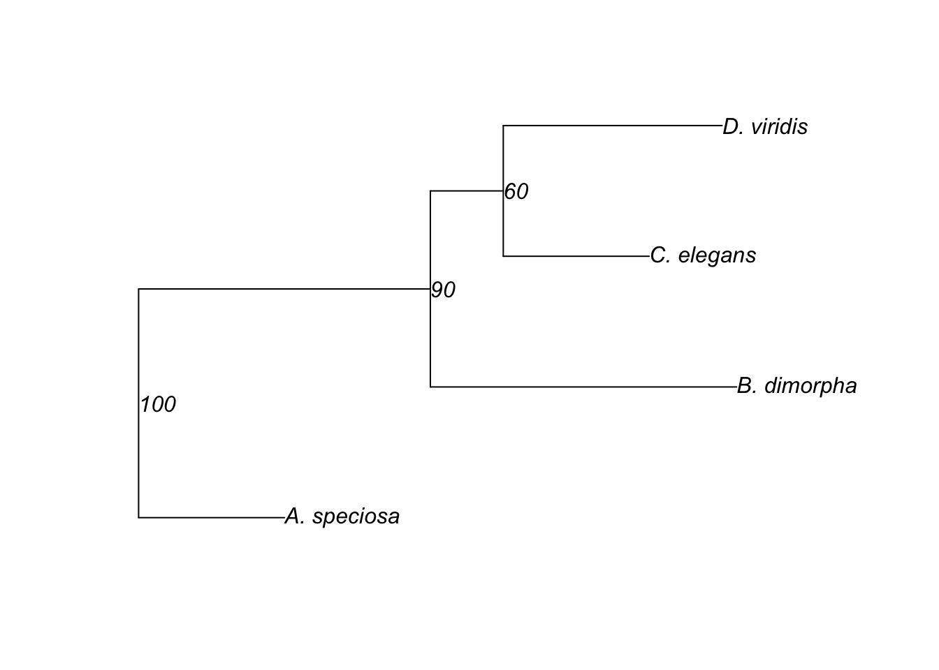 Rooted tree showing relationsip between 4 species with branch lengths and node supports.
