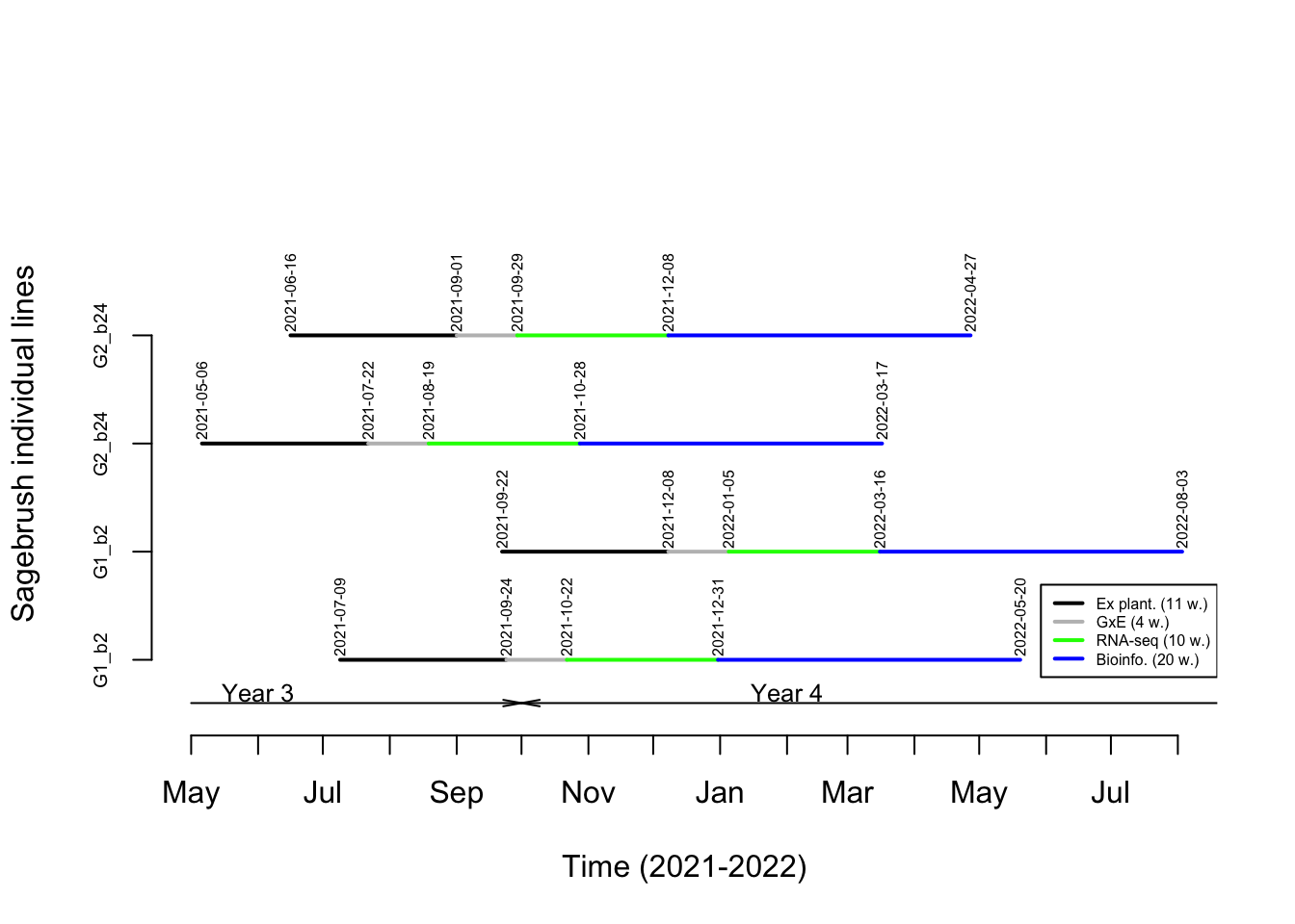 Timetable associated to GxE experiments and subsequent RNA sequencing and bioinformatic analyses used for annotate the sagebrush genome. Please see text for more details on individual lines.