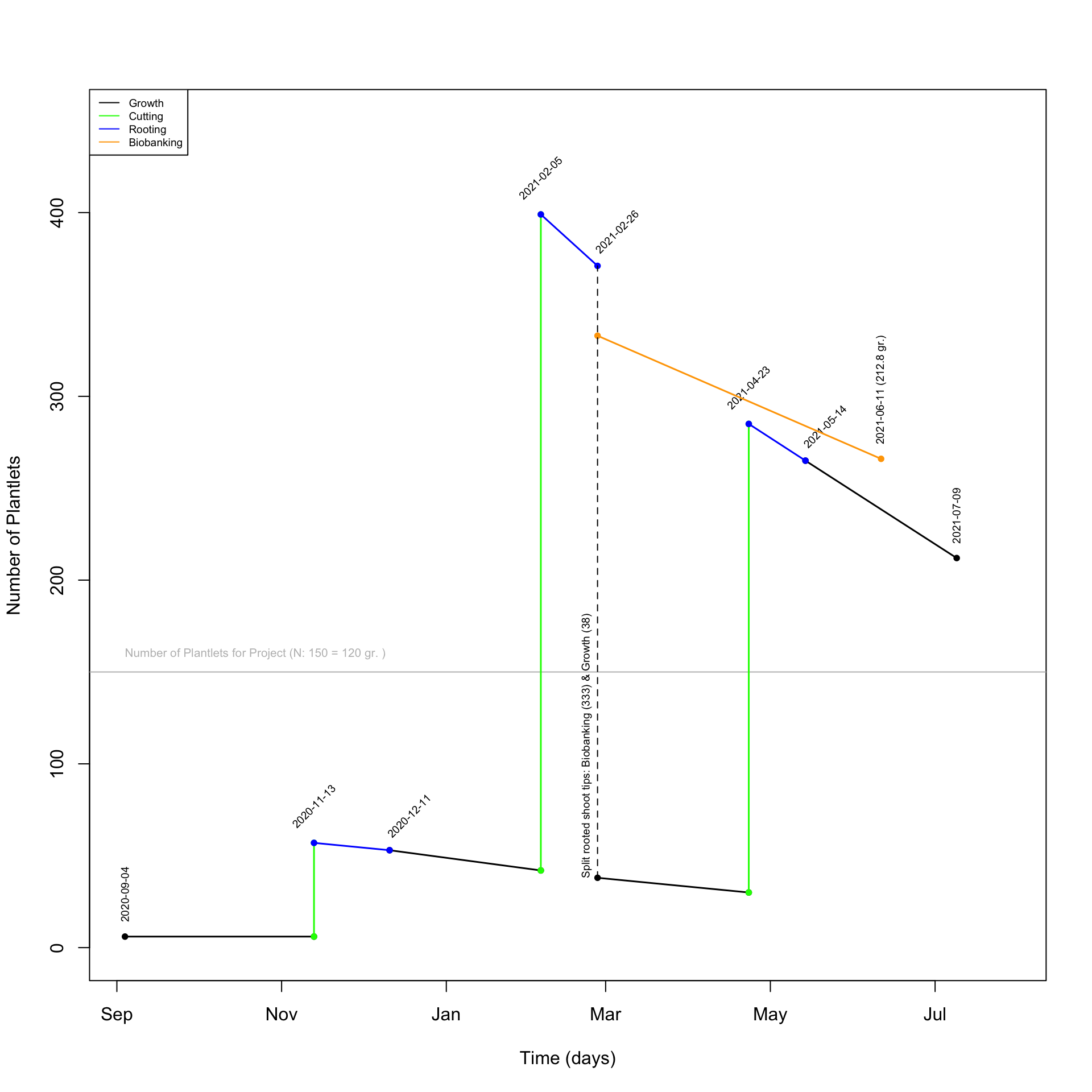 Plot showing the time frame to conduct the in vitro propagation of G2_b24_1 to produce the biomass for the Sagebrush Genome Project and maintain the individual line.