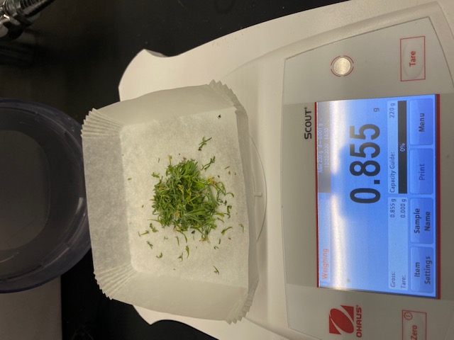 A 15-week old plantlet grown in vitro in Magenta vessel generates 0.8 gr of leaf biomass for sequencing.