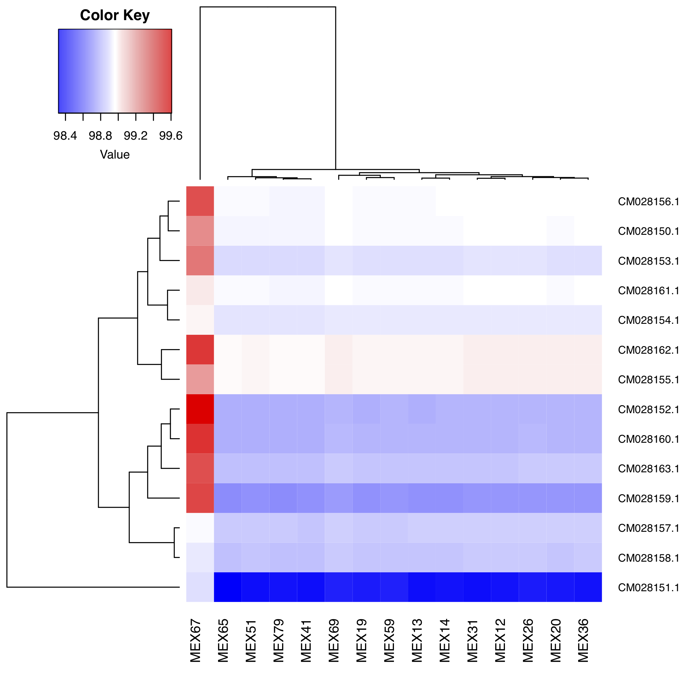 Heatmap of Vanilla planifolia samples. See text for more details.