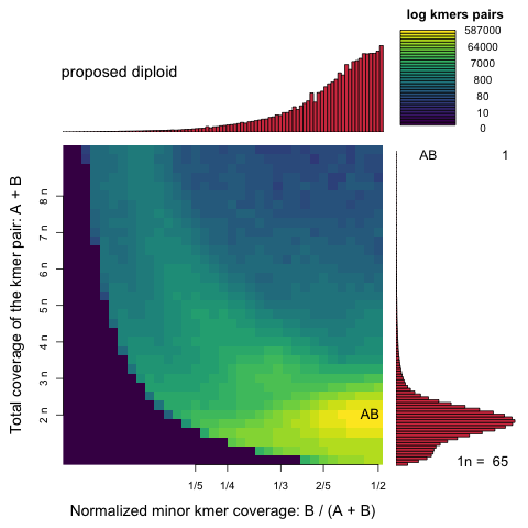 Example of a smudgeplot output (log10).